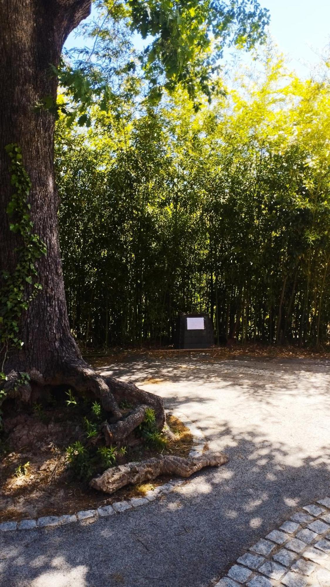 Studio 1 Etoile Paisible,4 Couchages,Jardin Prive Les Adrets-de-l'Esterel Εξωτερικό φωτογραφία